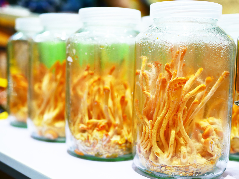 Lưu ý khi sử dụng rượu đông trùng hạ thảo